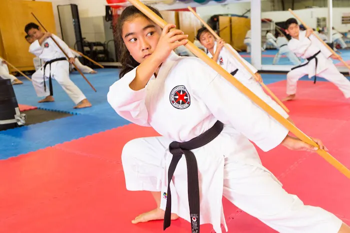 Japan International Karate Center - Aiea Picture 2