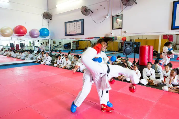Japan International Karate Center - Aiea Picture 7