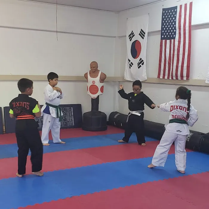 Dixon's Taekwondo Picture 6