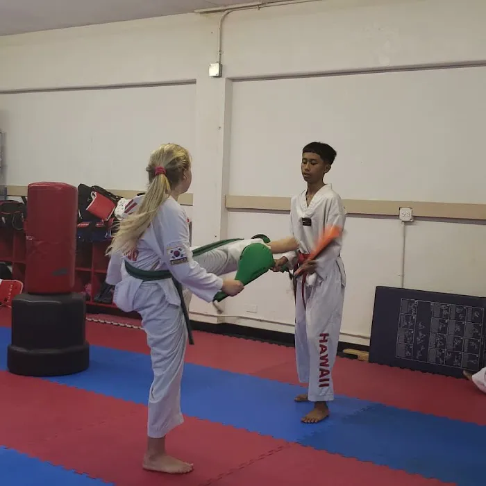 Dixon's Taekwondo Picture 2