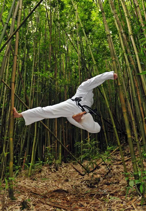 Hawaii Taekwondo Federation Picture 10