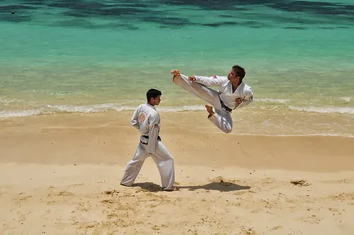 Traditional Tae Kwon DO Center Picture 4
