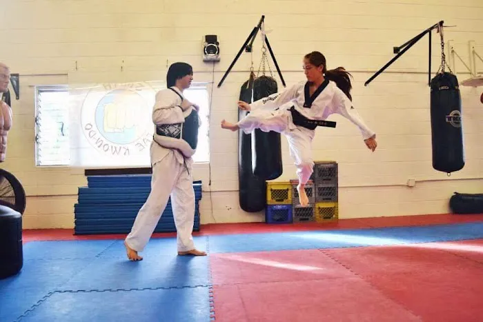 Smith Taekwondo Center Picture 1