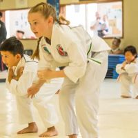 Grandmaster Hee Il Cho's Tae Kwon Do Center ico