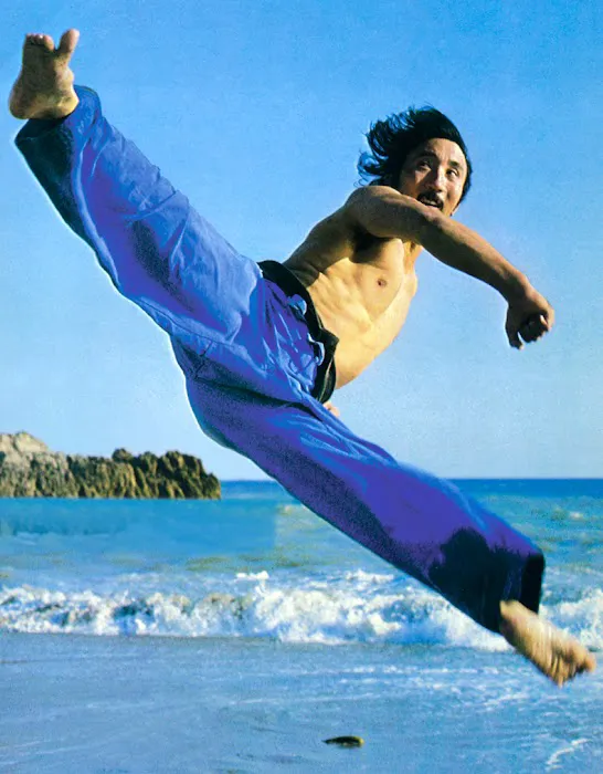 Grandmaster Hee Il Cho's Tae Kwon Do Center Picture 8