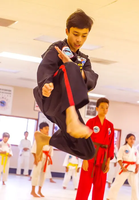 Grandmaster Hee Il Cho's Tae Kwon Do Center Picture 6