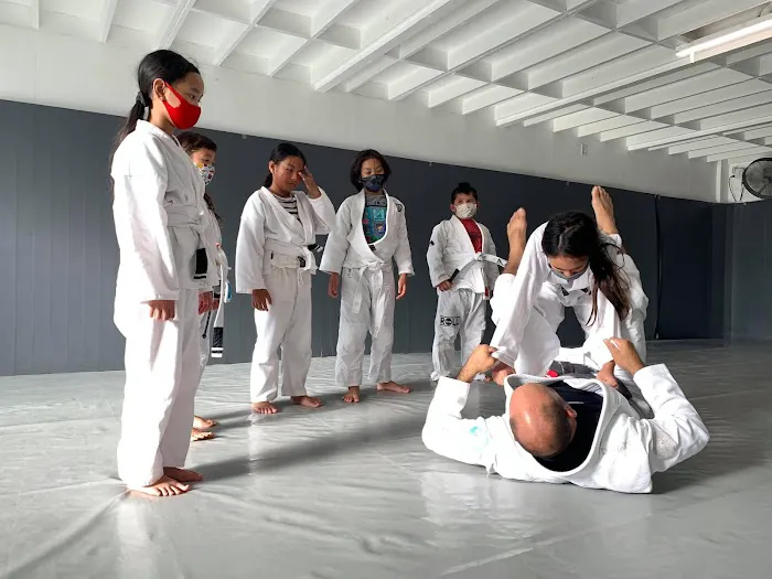 Jiu Jitsu - Honolulu Picture 10