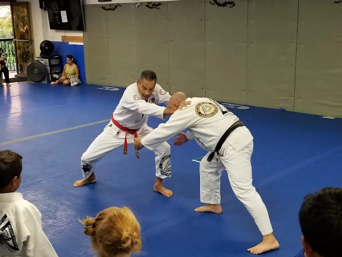 O2 Martial Arts Academy Picture 6