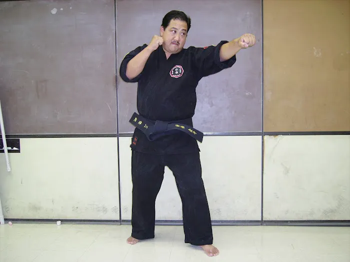 Hawaii Kenpo Karate, llc Picture 5