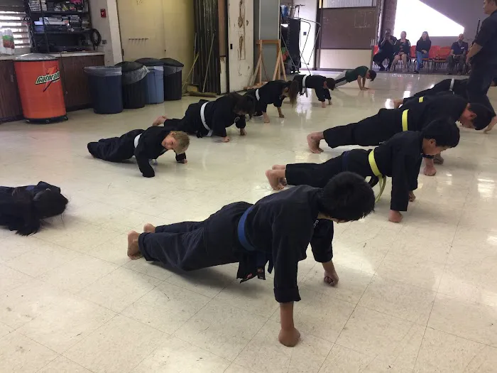 Hawaii Kenpo Karate, llc Picture 9