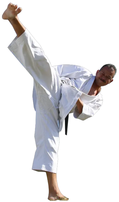 Japan Karate Association (JKA) Hawaii Picture 9