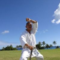 Japan Karate Association (JKA) Hawaii ico