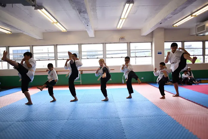 Smart Karate Picture 2