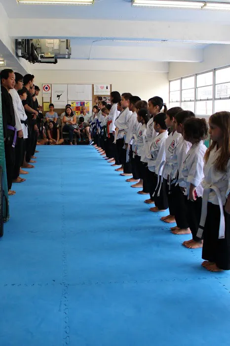 Smart Karate Picture 7