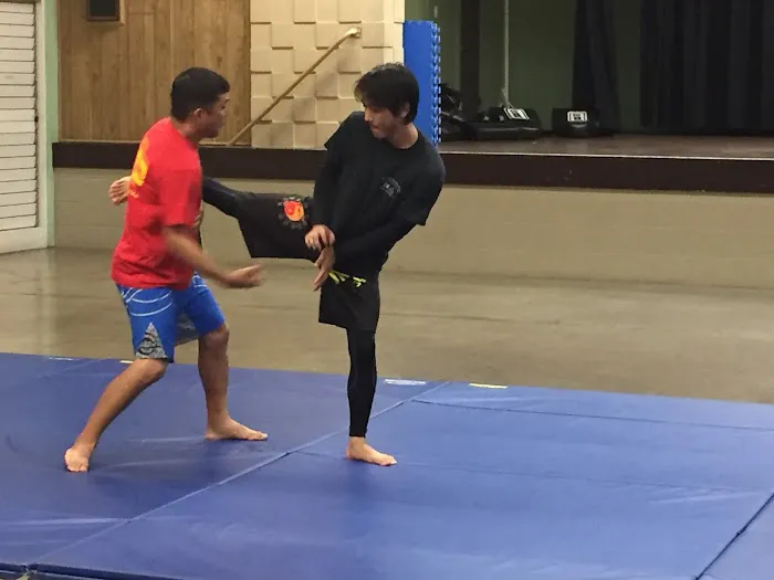 Burton Richardson's Jeet Kune Do Unlimited Picture 1