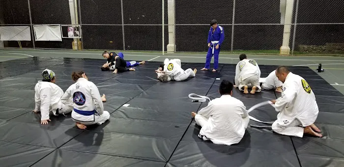 Relson Gracie Team Papakolea Jiu-Jitsu Picture 4