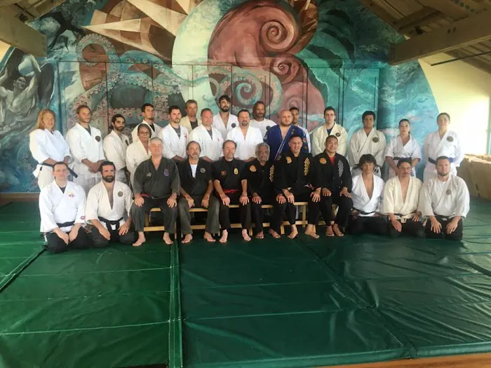 Hawaii Zenyo Jujutsu Kai Picture 3