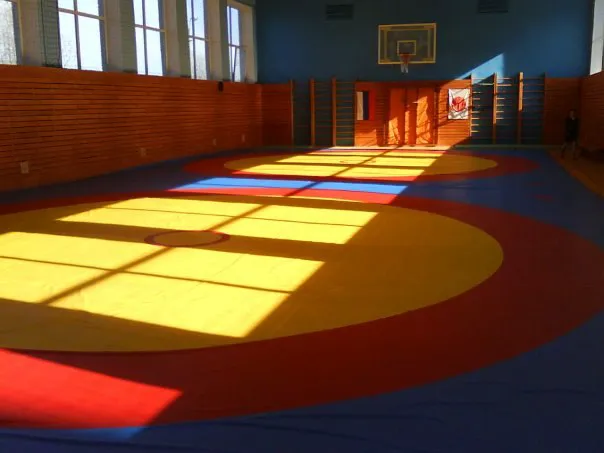 Hawaii Martial Arts Center (HMC) Academy Picture 1