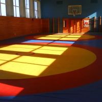 Hawaii Martial Arts Center (HMC) Academy ico