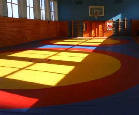 Hawaii Martial Arts Center (HMC) Academy