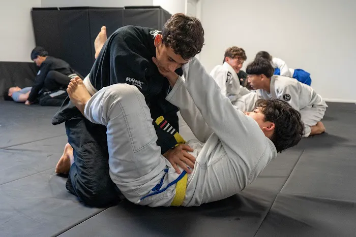 Jiu-Jitsu Kaizen Academy Picture 7
