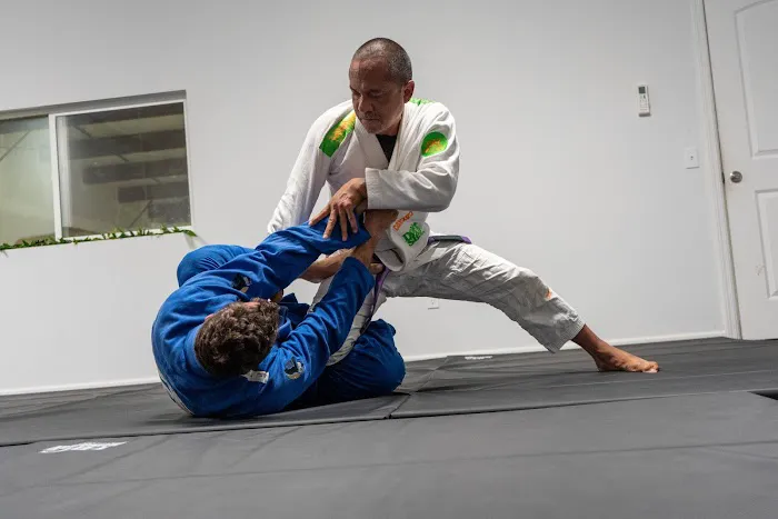 Jiu-Jitsu Kaizen Academy Picture 4