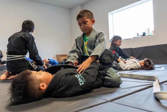 Jiu-Jitsu Kaizen Academy Picture 3