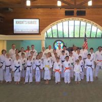 Knight's Isshin-Ryu Karate & Kobudo LLC ico