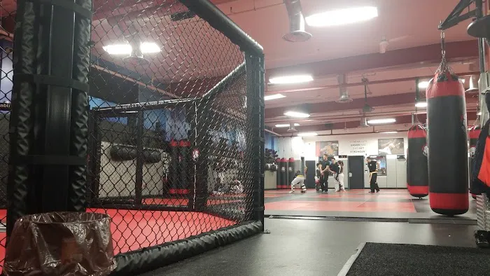 Tiger Schulmann's Martial Arts (Elmwood Park, NJ) Picture 5
