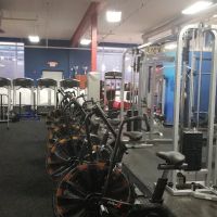 Tiger Schulmann's Martial Arts (Elmwood Park, NJ) ico