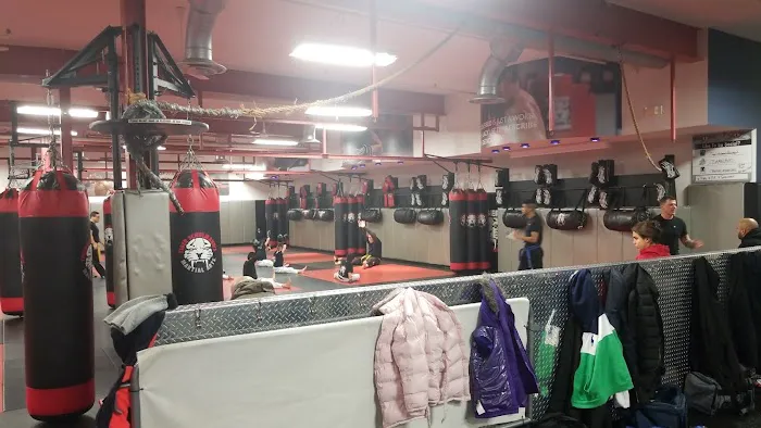 Tiger Schulmann's Martial Arts (Elmwood Park, NJ) Picture 3