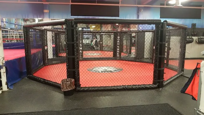 Tiger Schulmann's Martial Arts (Elmwood Park, NJ) Picture 6