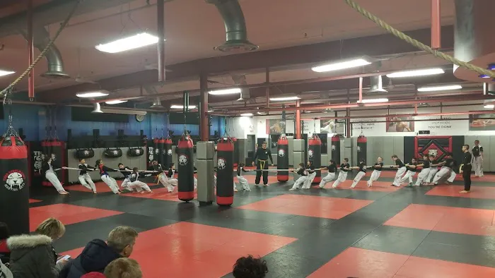 Tiger Schulmann's Martial Arts (Elmwood Park, NJ) Picture 4