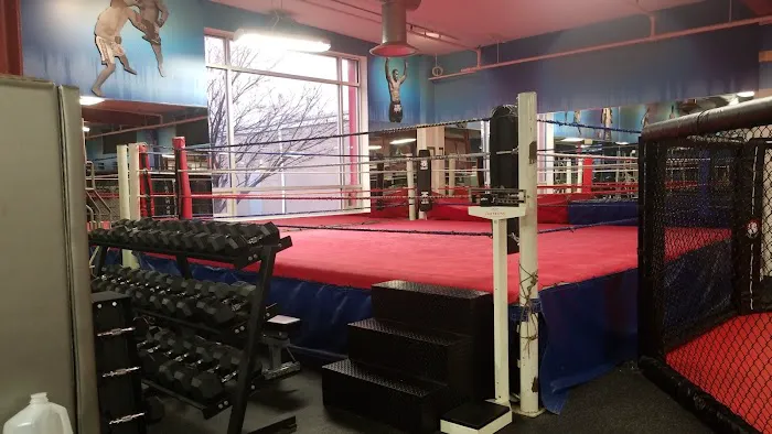 Tiger Schulmann's Martial Arts (Elmwood Park, NJ) Picture 2
