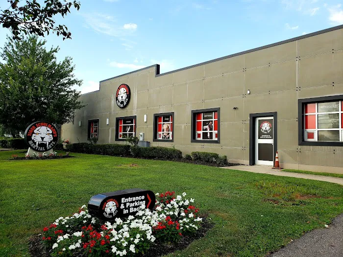Tiger Schulmann's Martial Arts (Elmwood Park, NJ) Picture 10