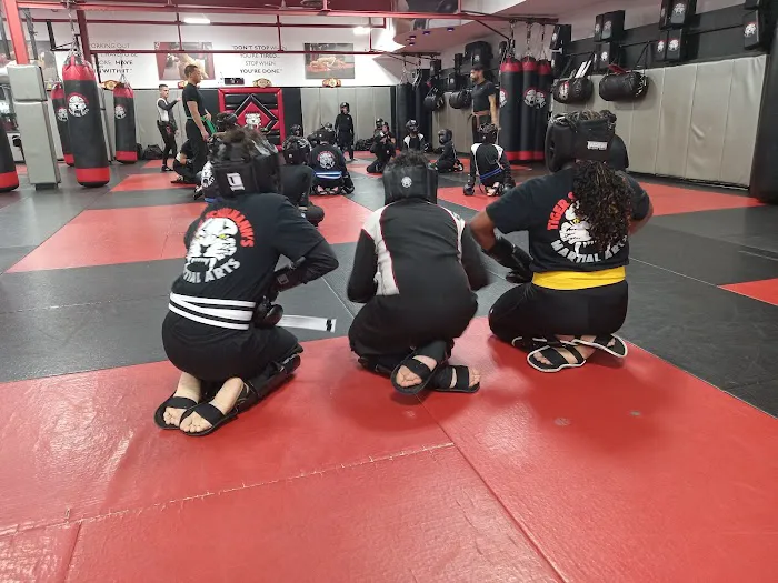 Tiger Schulmann's Martial Arts (Elmwood Park, NJ) Picture 8