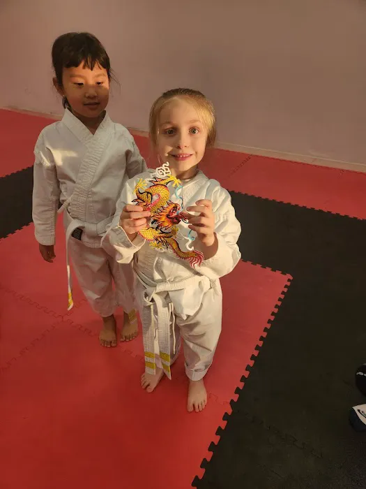 Alan Kessler's Karate Center Picture 1