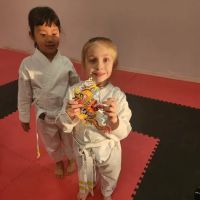 Alan Kessler's Karate Center ico
