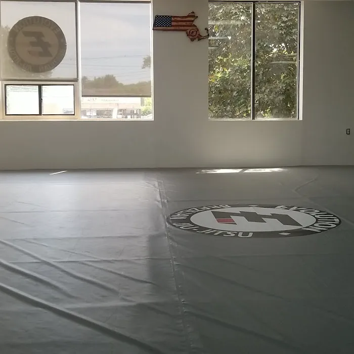 Evolution Mixed Martial Arts Picture 1