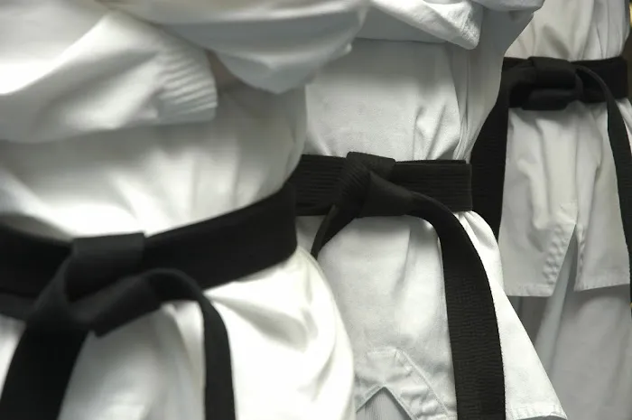Red Dragon Karate Picture 2