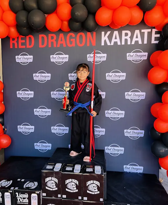Red Dragon Karate Picture 3