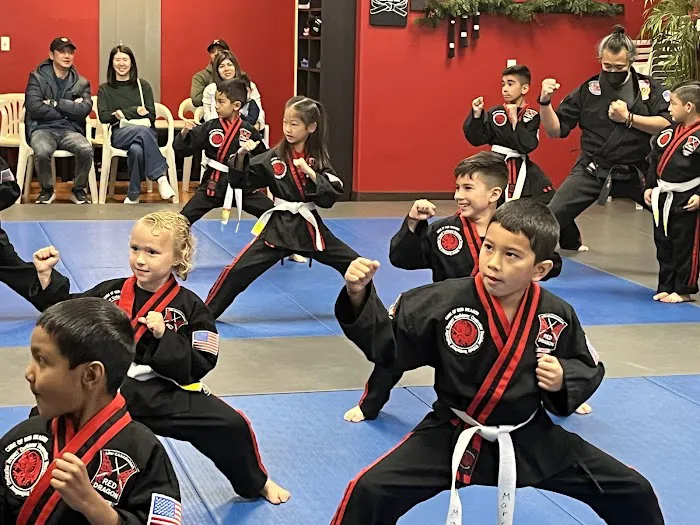 Red Dragon Karate Picture 4