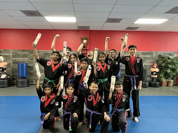Red Dragon Karate Picture 9