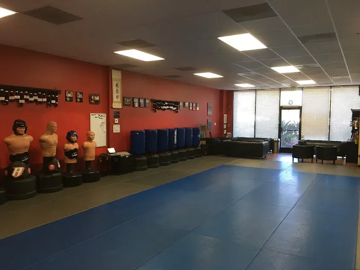 Red Dragon Karate Picture 10