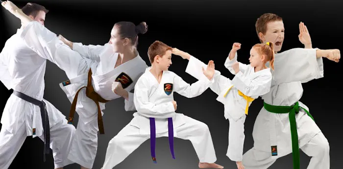 Z-Ultimate Self Defense Studios Picture 6