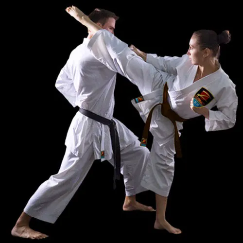Z-Ultimate Self Defense Studios Picture 7