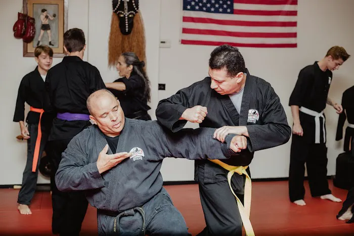 Powell's Way of Kenpo Picture 3