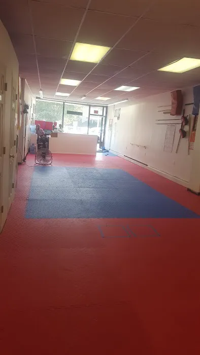 Curtmantis Martial Art Studio Picture 3