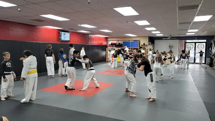 Gracie Jiu-jitsu Chandler Picture 8