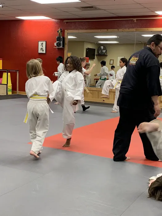 Gracie Jiu-jitsu Chandler Picture 7